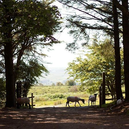 Wheal Tor Hotel & Glamping Liskeard Luaran gambar